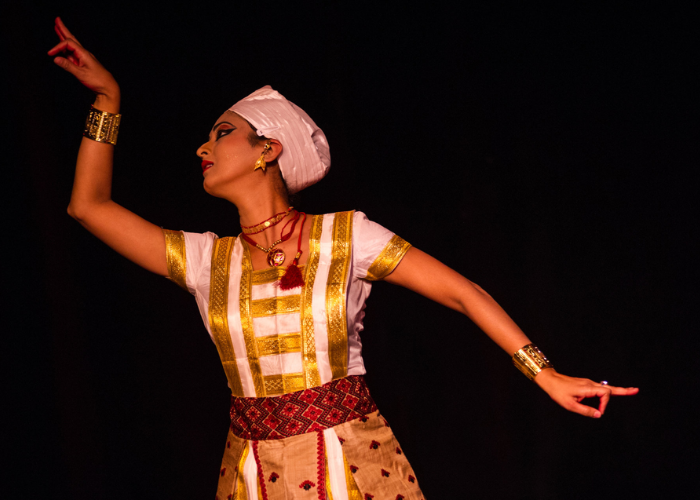Enchanted Rhythms: A Journey Through Global Music and Dance