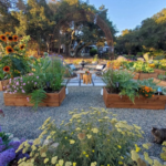 Homestead Haven: A Guide to Sustainable Living and Gardening at Home