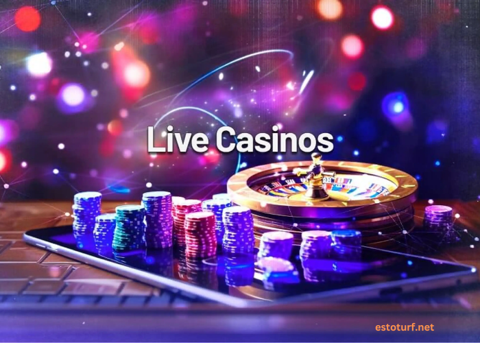 From Novice to Pro: Essential Tips for Live Casino Success in Korea