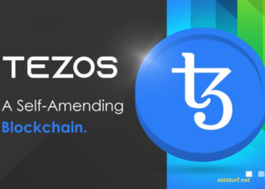 Tezos Security: Safeguarding Your Assets on the Blockchain