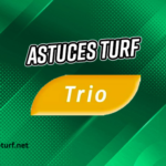 Trio 3 Chevaux (1)