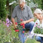 Planting a Tree