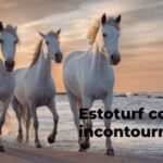 Estoturf CouplÃ Incontournable