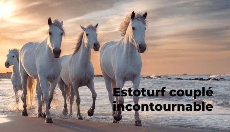 Estoturf CouplÃ Incontournable