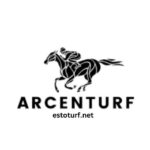 Arcent Turf