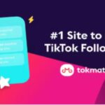 TikTok Followers