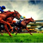 kappacourse turf 365