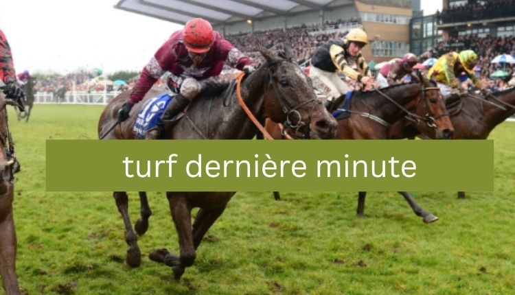 turf dernière minute