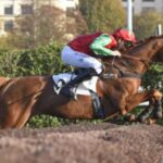 magique turf vip