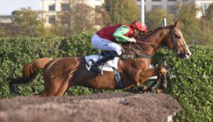 magique turf vip