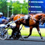 turf-blogspot-gratuit