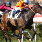 turf complet blogspot