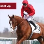 3-gagnant-vip