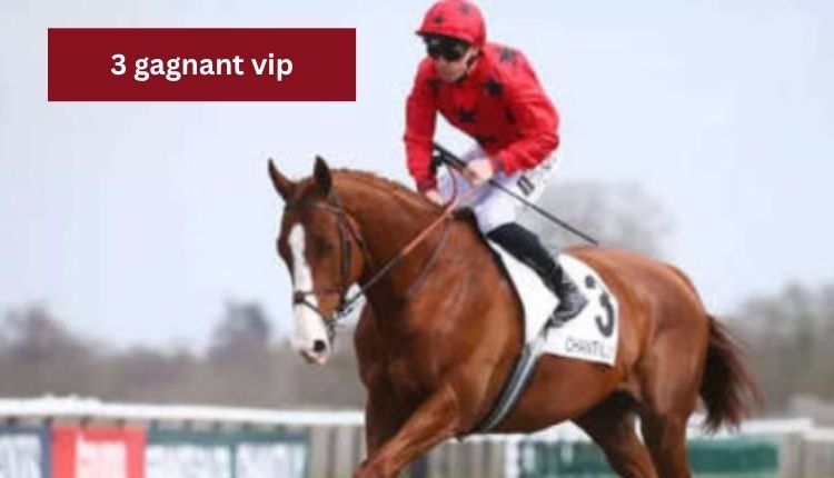 3-gagnant-vip