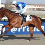 canalturf-du-jour