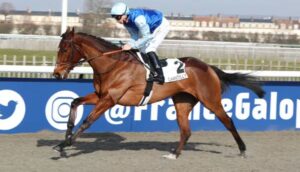 canalturf-du-jour