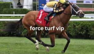 force turf vip