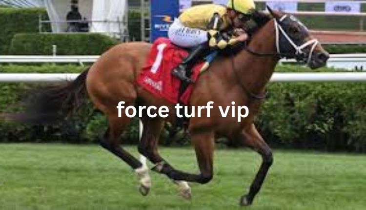 force turf vip