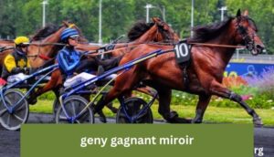 geny gagnant miroir