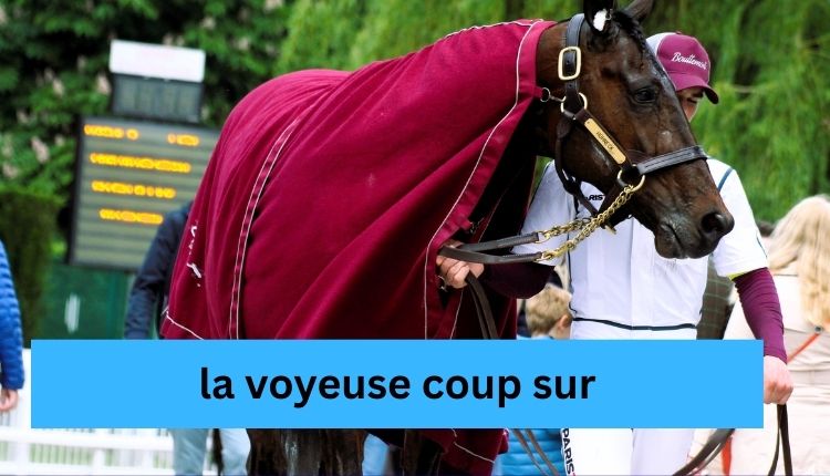 la-voyeuse-coup-sur