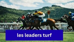 les-leaders-turf