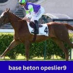 base beton opeslier9