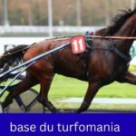 base du turfomania