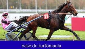 base du turfomania