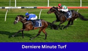 Derniere Minute Turf