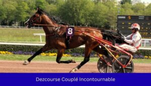 Dezcourse Couplé Incontournable