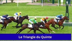 Le Triangle du Quinte