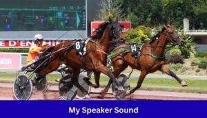 La Cle Turf Présidentielle