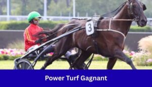 Power Turf Gagnant