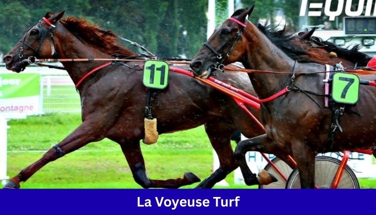 la voyeuse turf