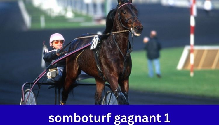 somboturf gagnant 1