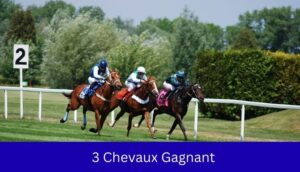 3 Chevaux Gagnant