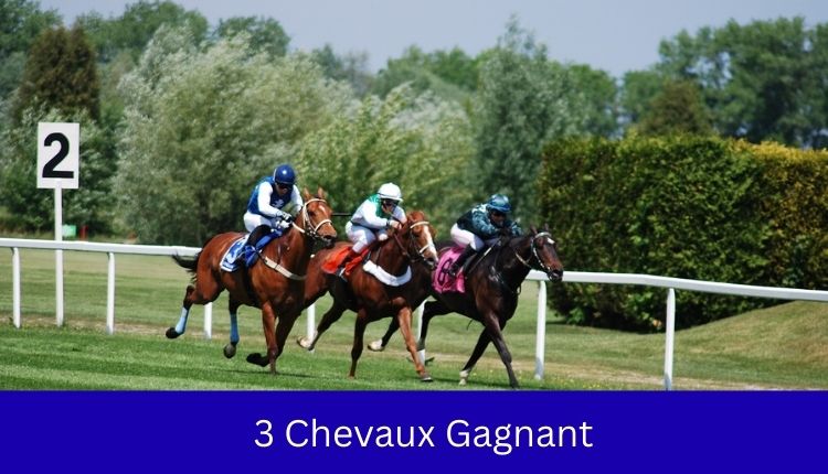 3 Chevaux Gagnant
