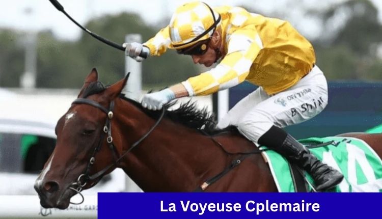 La Voyeuse Cplemaire