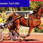 Percherdor Turf 100