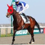 Super Pronostic VIP PMU